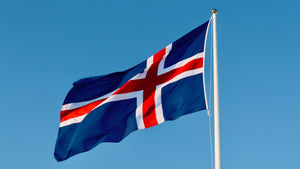 Frídagur verslunarmanna